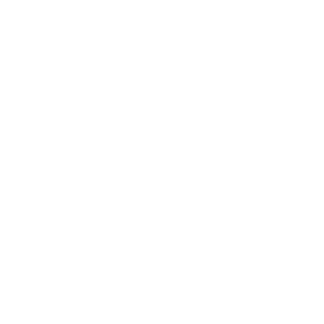 NVLogo